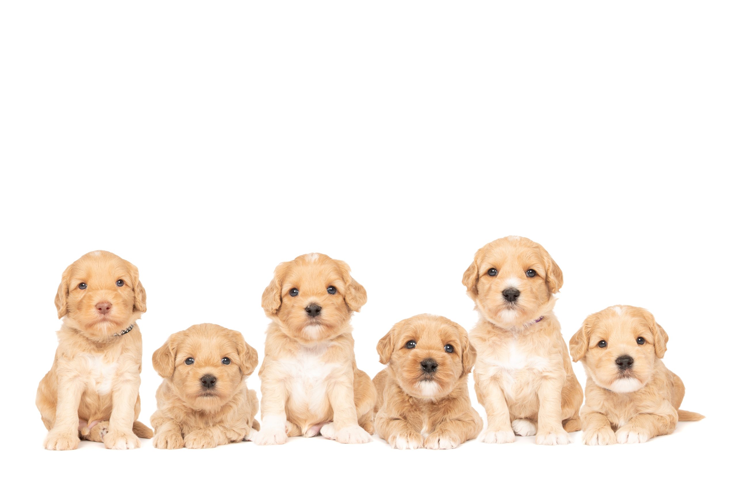 familieluna4week